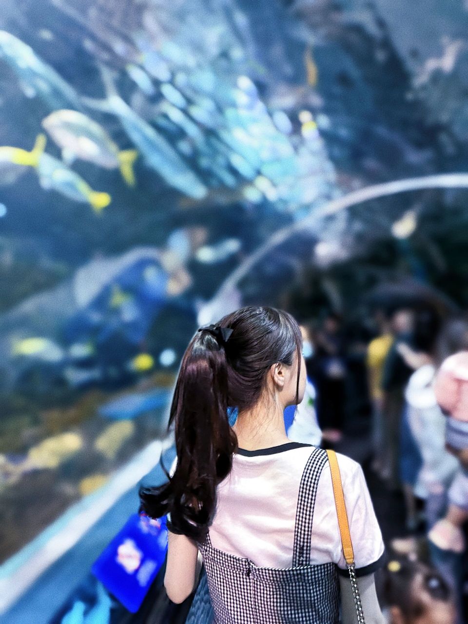 520去上海海洋水族馆玩啦!门票半价!
