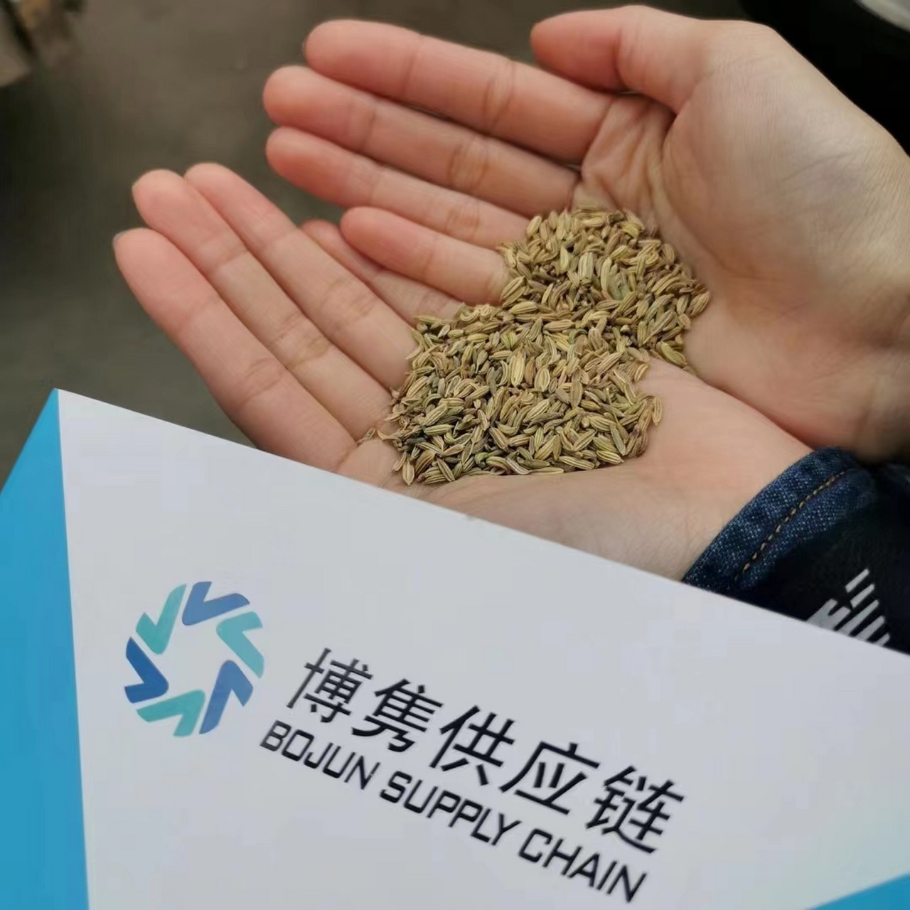 孜然,伞形科孜然芹属的一年生或二年生草本植物,除果实外全株光滑无毛