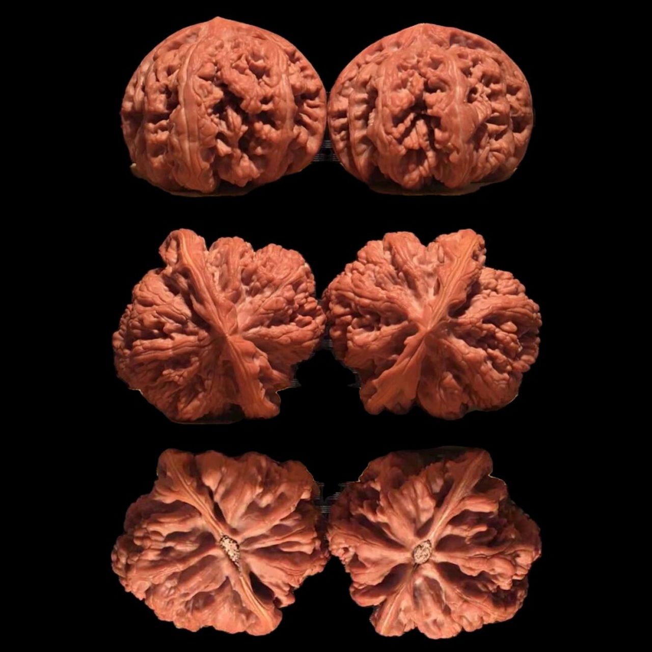 粗筋) 9915大粗筋根据纹路起的,筋比较粗,明显(也叫陈佩侠狮子头)