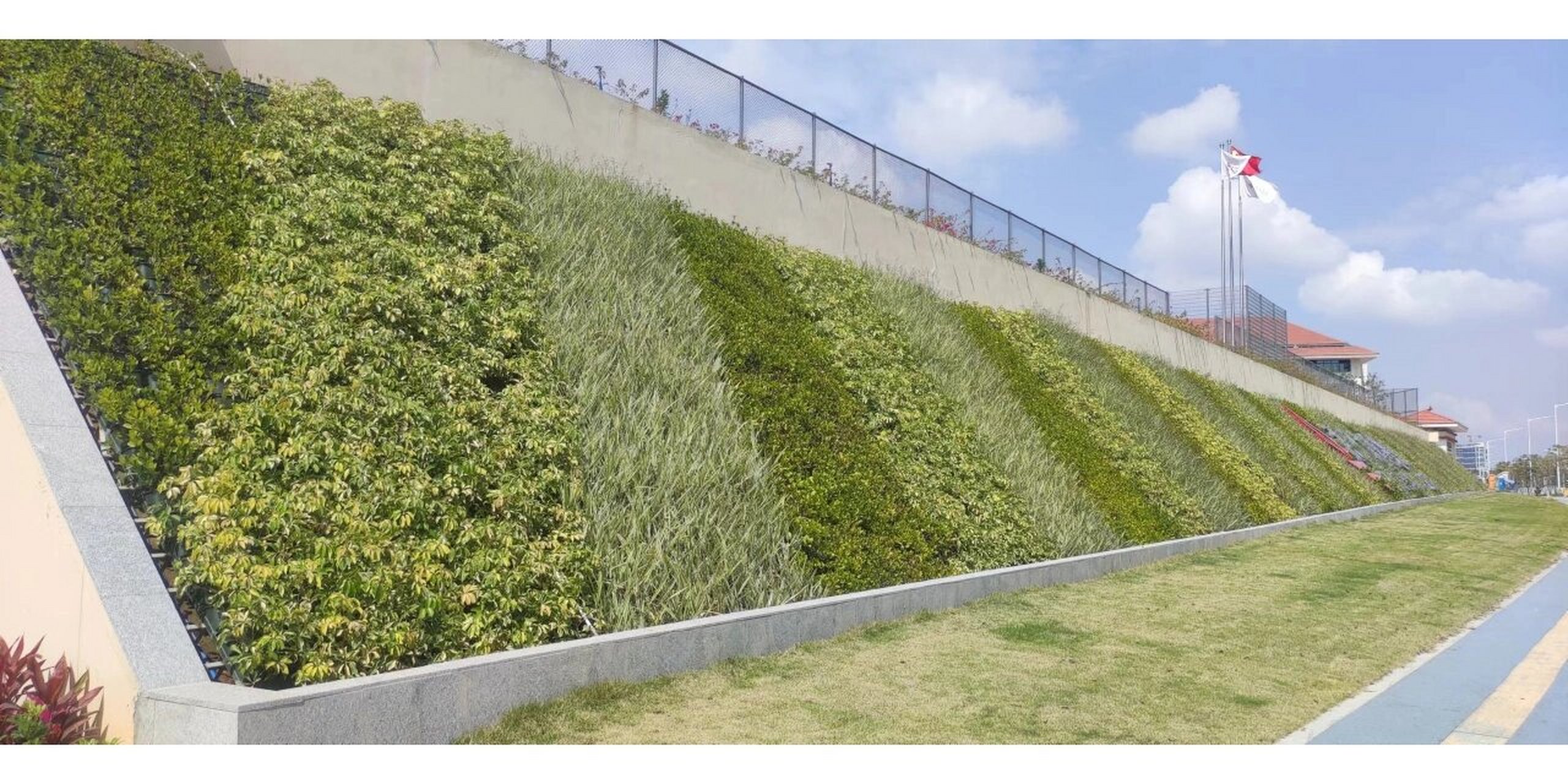 边坡/护坡垂直绿化工艺分享 在重庆地区,存在很多边坡/堡坎/护坡/挡墙