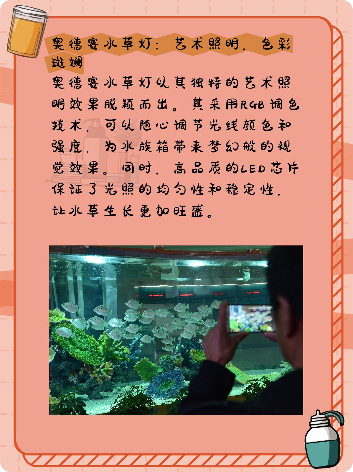 水草灯哪个牌子好