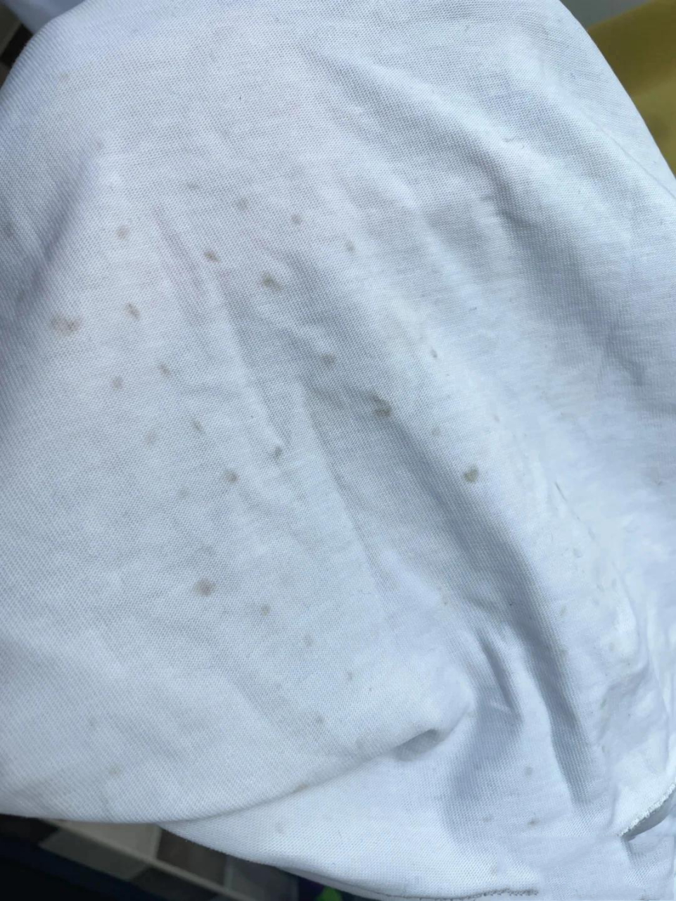 拯救洗衣机洗白色衣服出来的黑点!