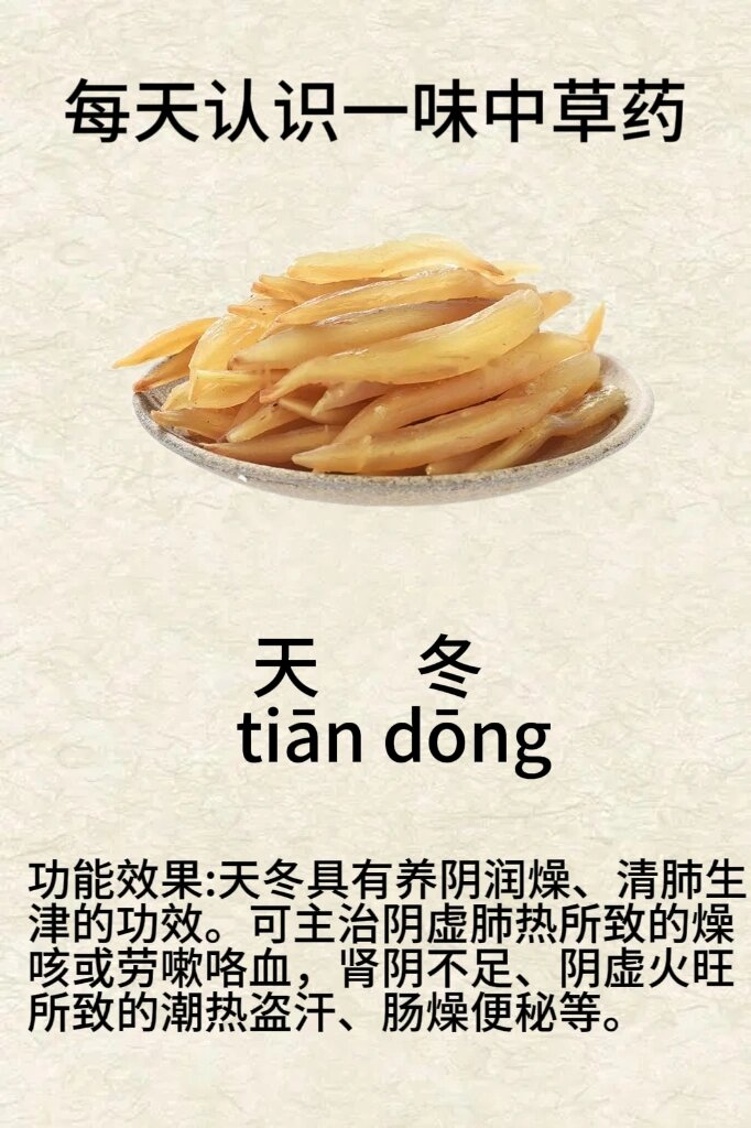 每天认识一味中草药【天冬