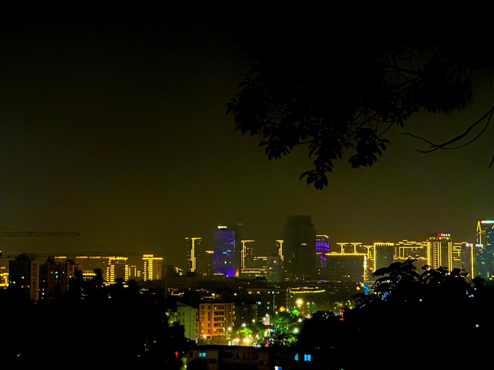 临平公园夜景图片