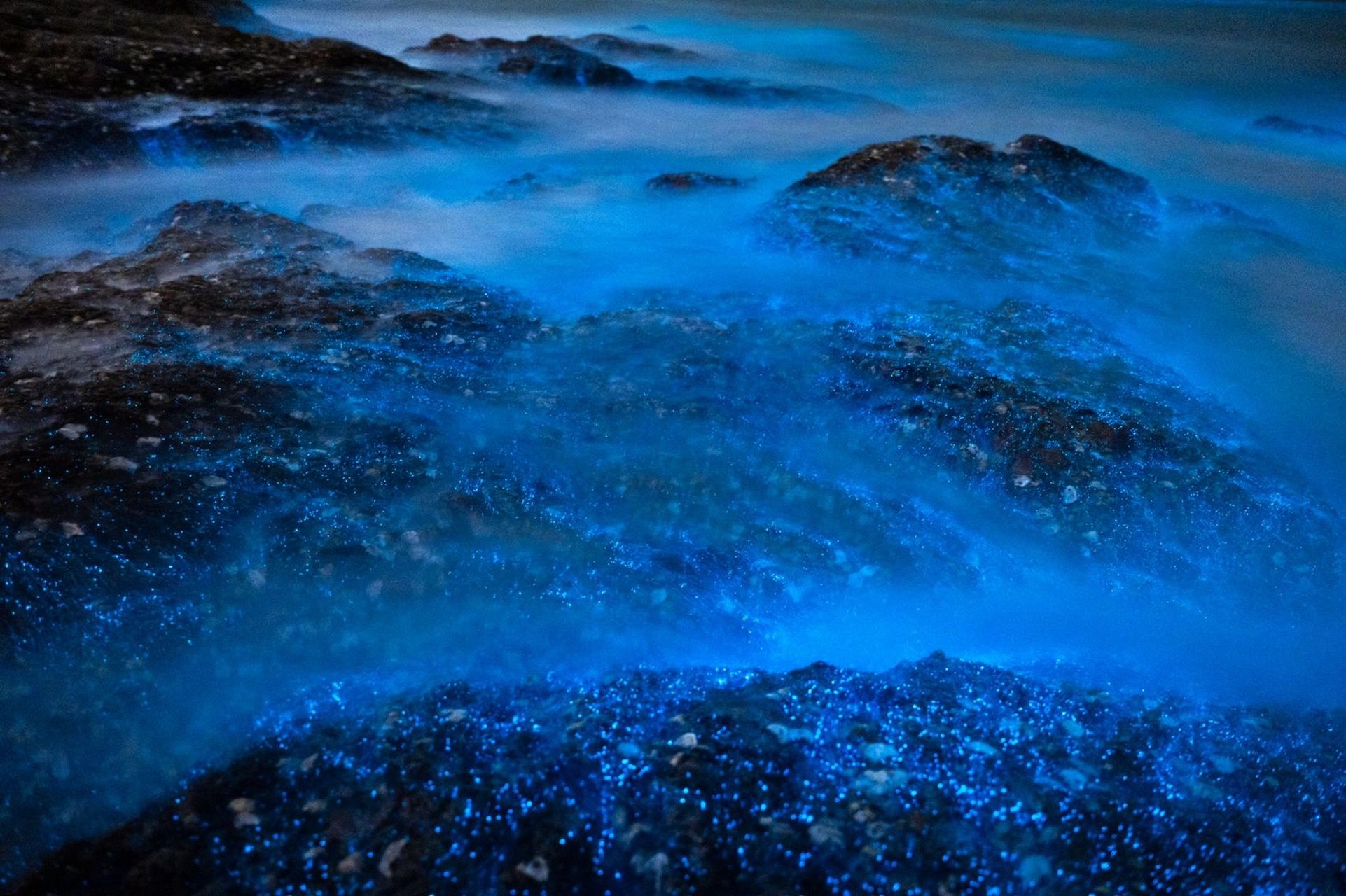 大连荧光海(小众景点) 又到了荧光海的季节,连续蹲守几夜,极其幸运