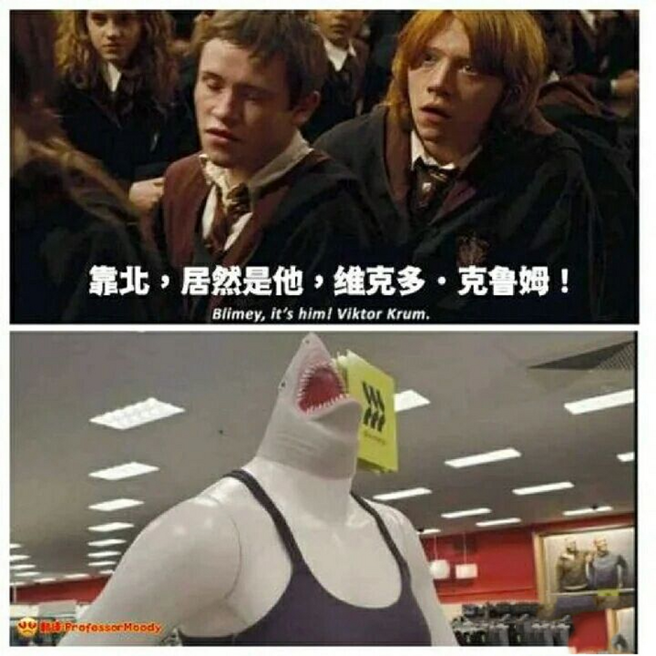 哈利波特沙雕图片表情包 笑死