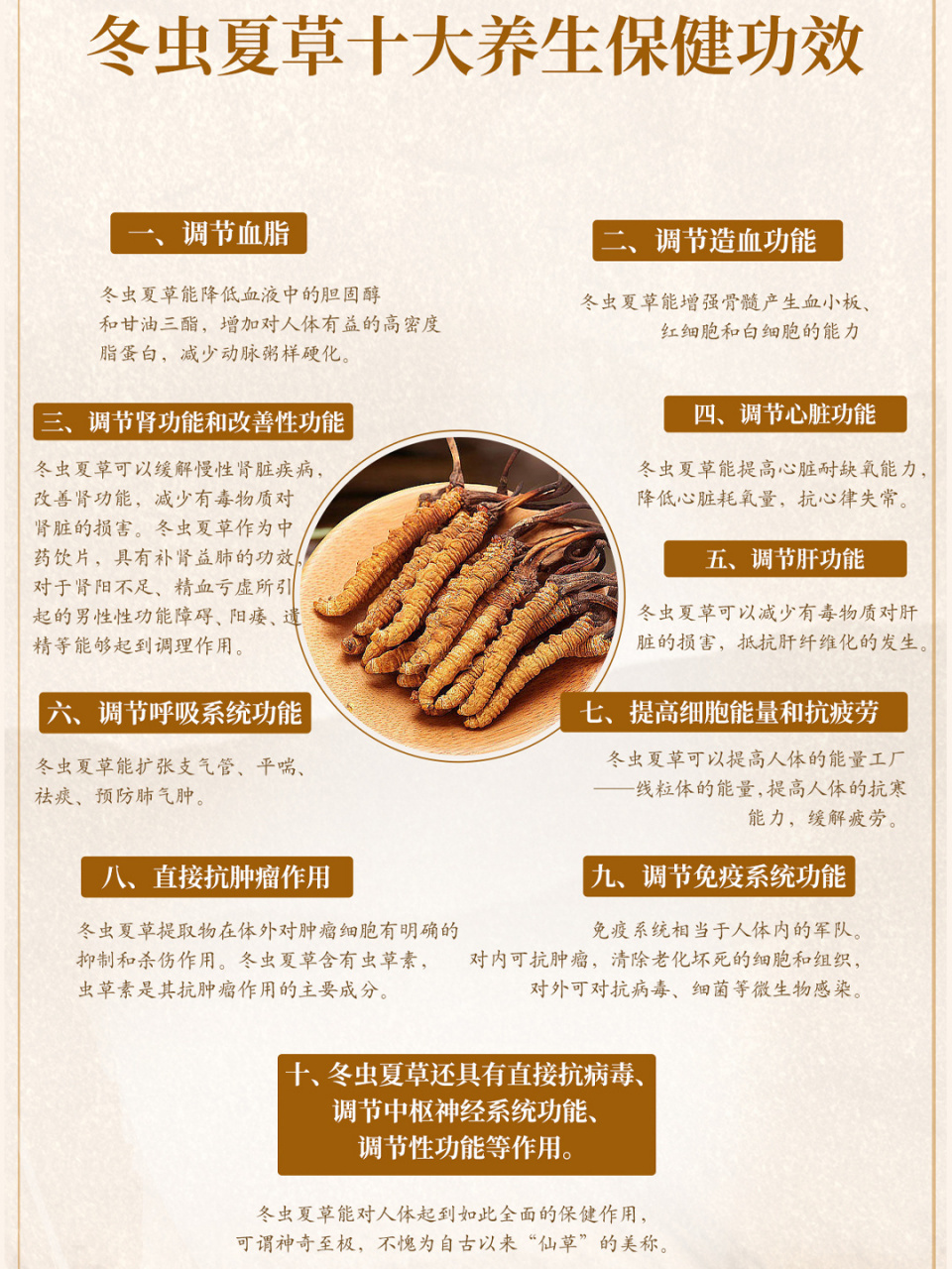 冬虫夏草的十大养生功效 第一,调节血脂.