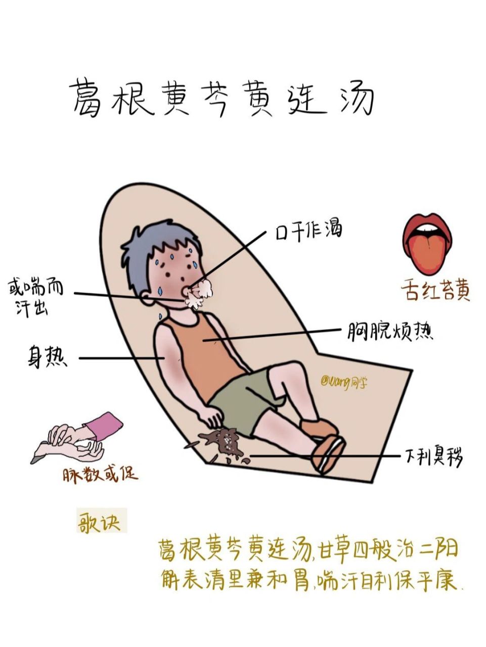 葛根黄芩黄连汤医案图片