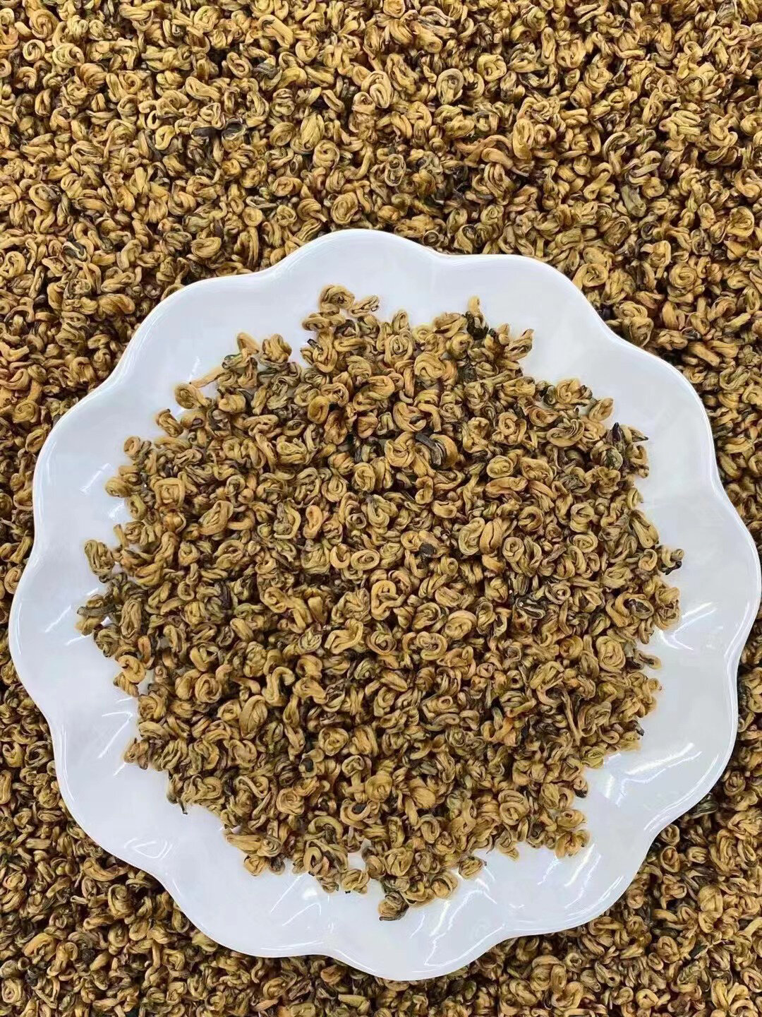 超级香,金毫绒绒 【极品金丝螺】特级红茶茶叶 超级香,金毫绒绒,颗粒