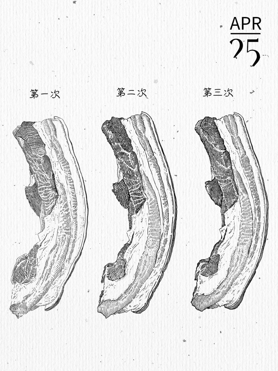 猪肉画法大全大图图片