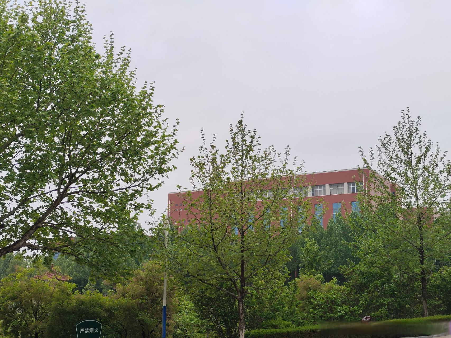 莱芜职业技术学院风景图片