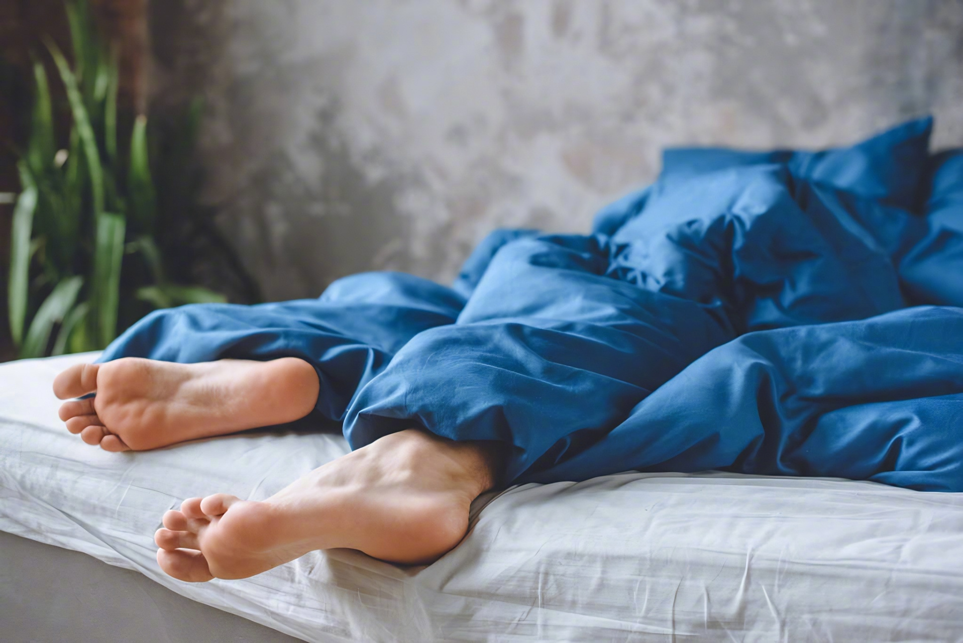 【把脚露被子外面能提高睡眠质量】进入深度睡眠时,体温会降低,以保持