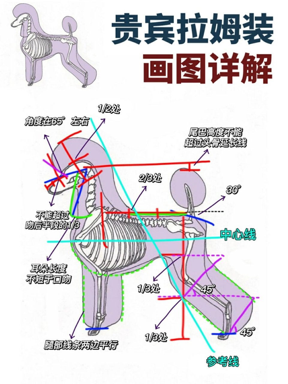 宠物美容画图图片