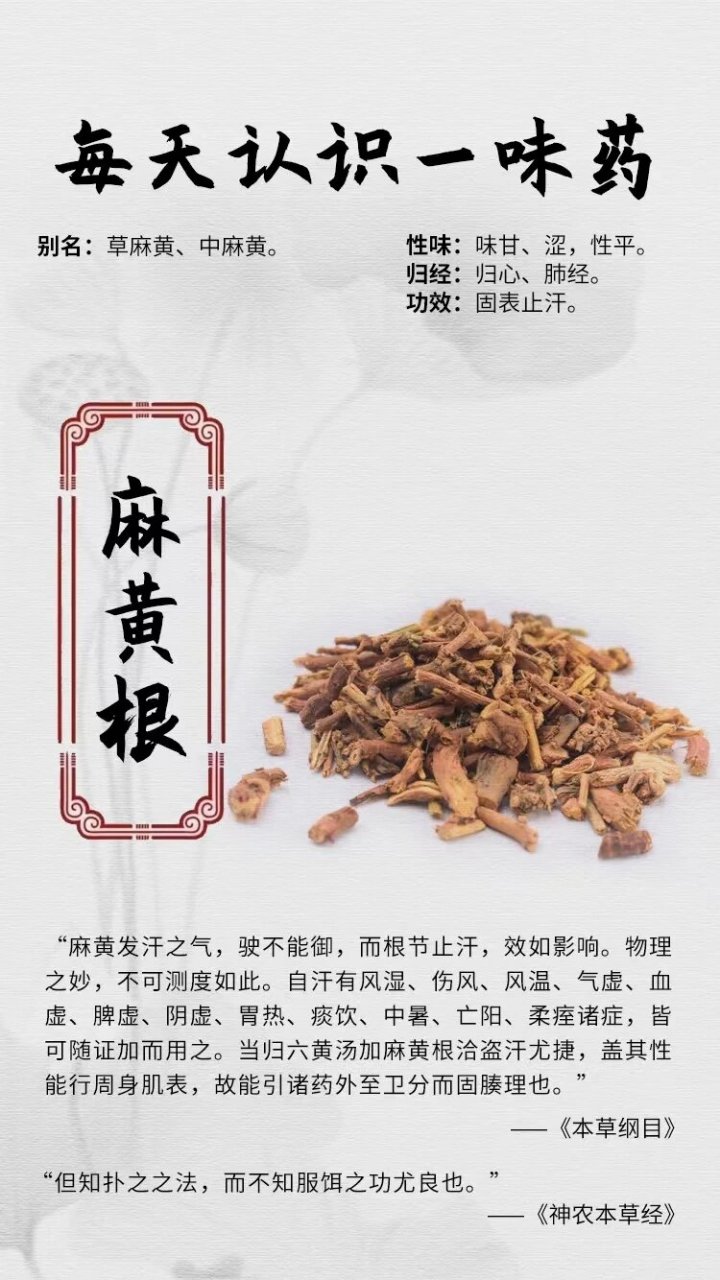 麻黄根用法用量图片