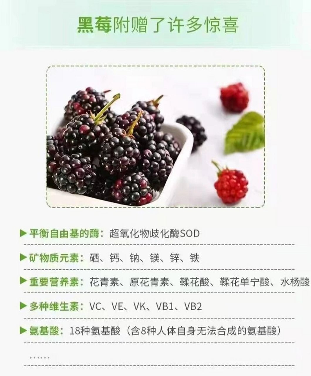 女人吃黑莓的好处 黑莓的营养价值 1,护眼 黑莓中所含的叶黄素可防止