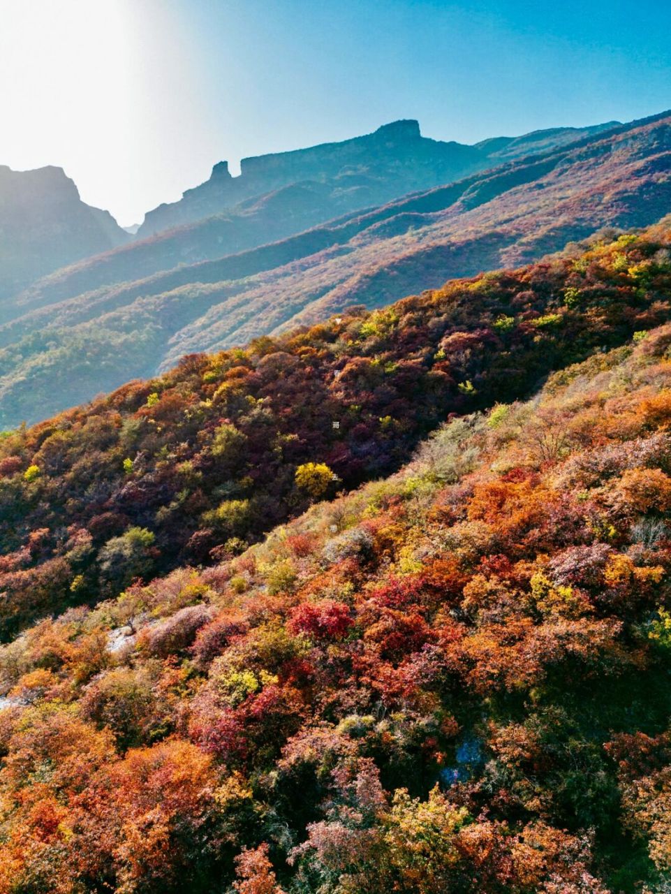 據說刷到這座山的,定會升官發財 紅紅火火97 這是你一生行善積德勤