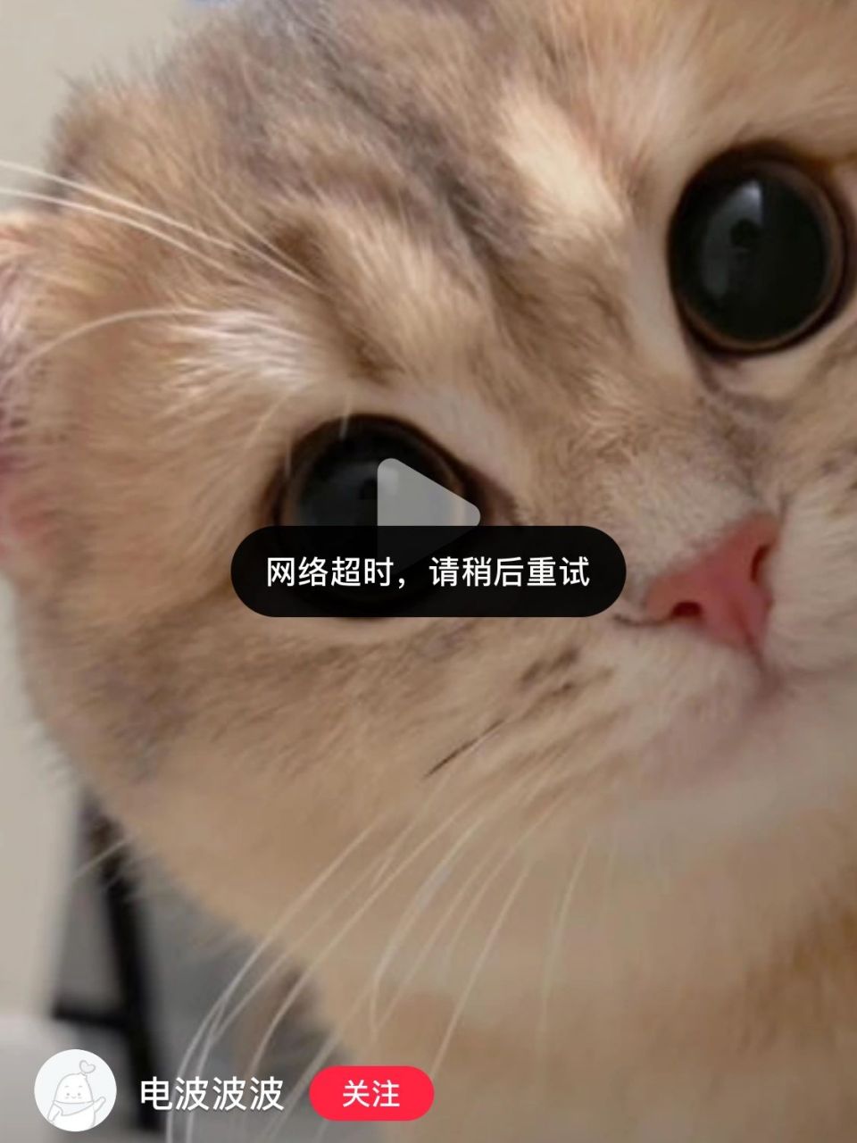 4g小红书看不了,wifi就行.