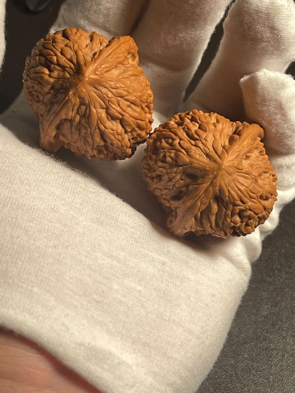 科普贴—野生核桃的区分一:绣球核桃     绣球狮子头源产地为北京平谷