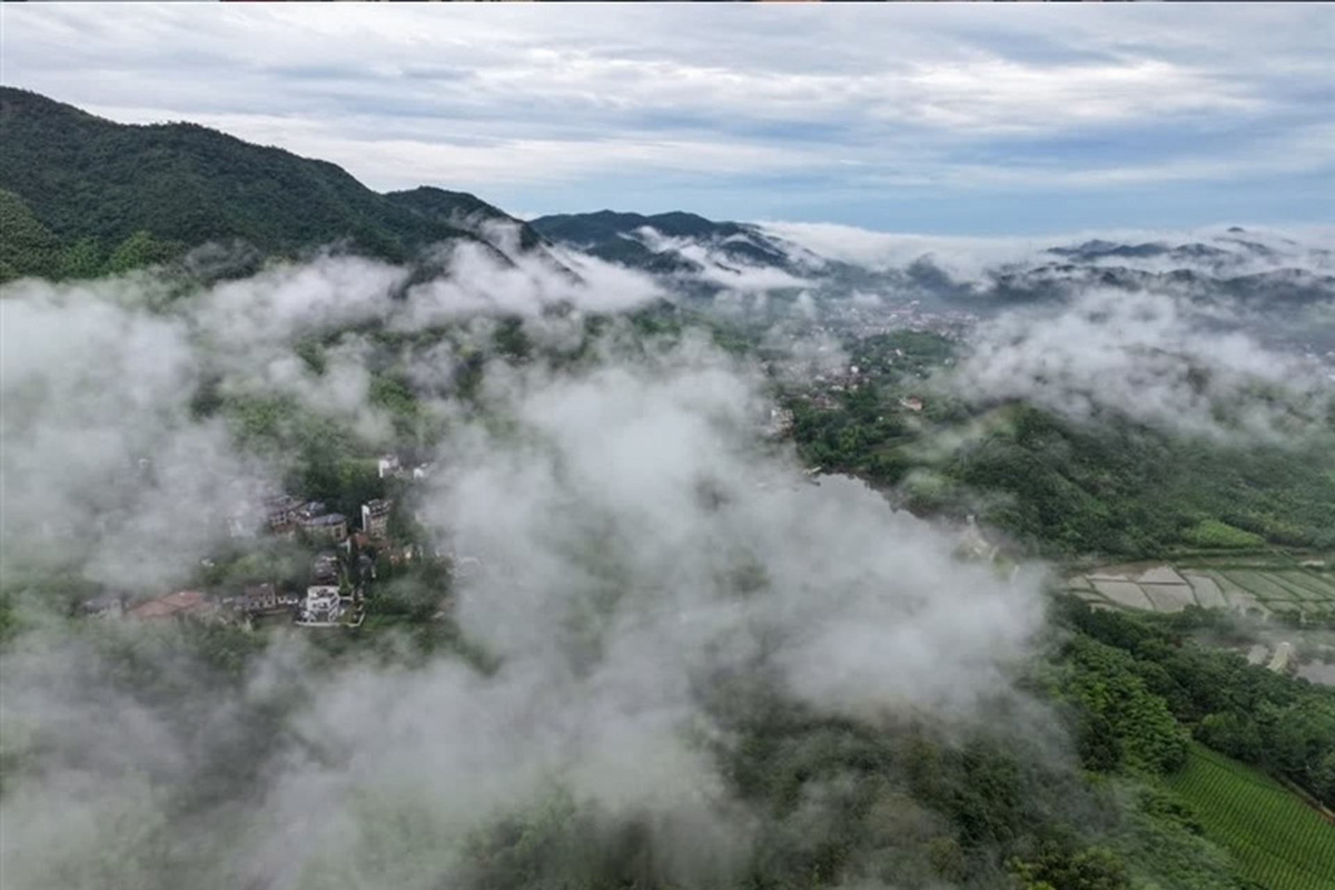 【云雾绕山村】#看德清# 昨天清晨,阵雨过后莫干山镇劳岭村云雾缭绕