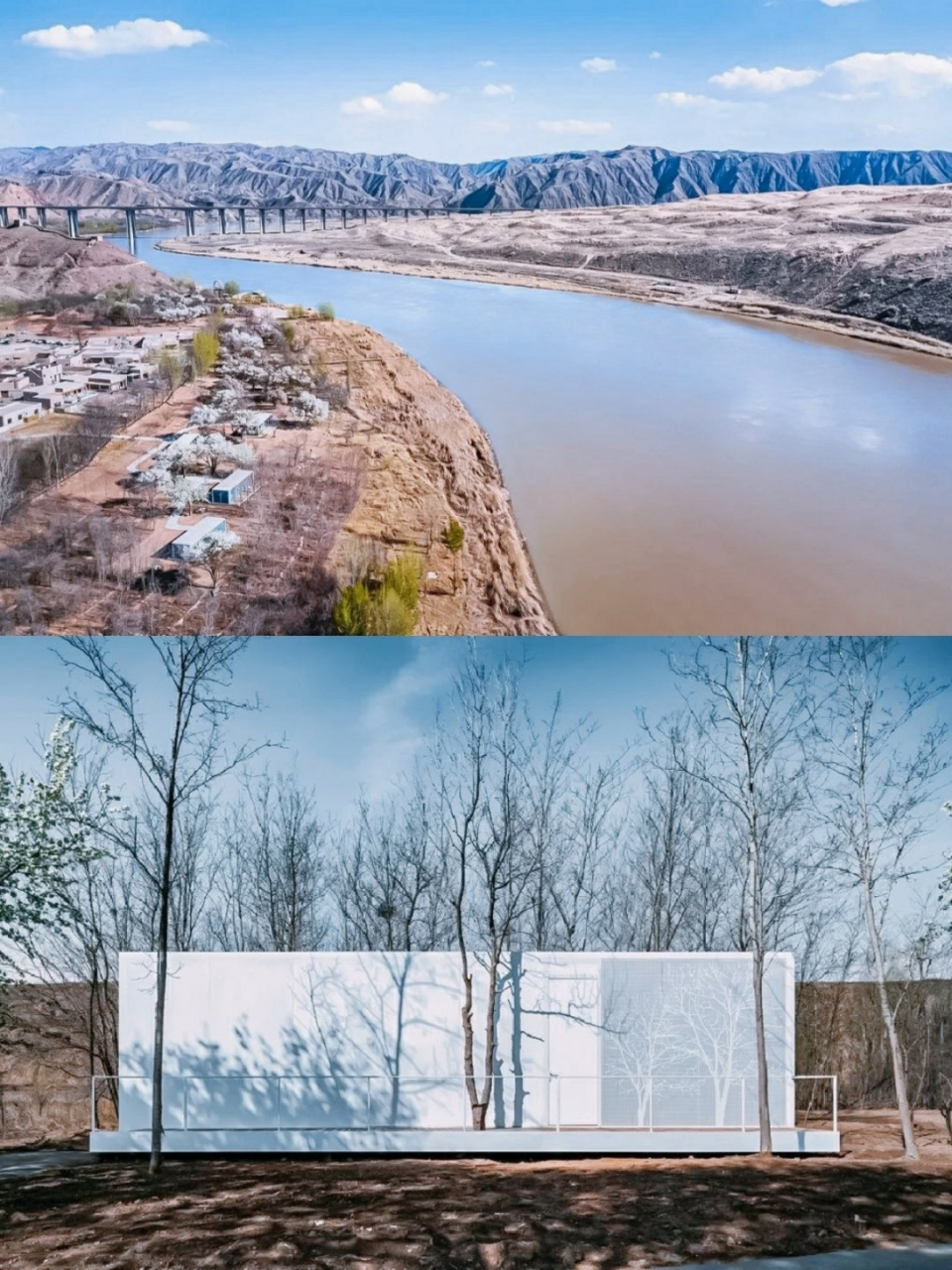 黄河宿集中这些隐于树林中的 #中卫飞茑集精品民宿#飞蔦集完全戳中颜