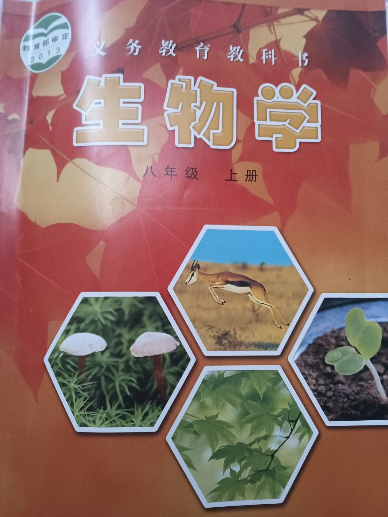 冀少版|八上生物|第一节《种子萌发的过程》