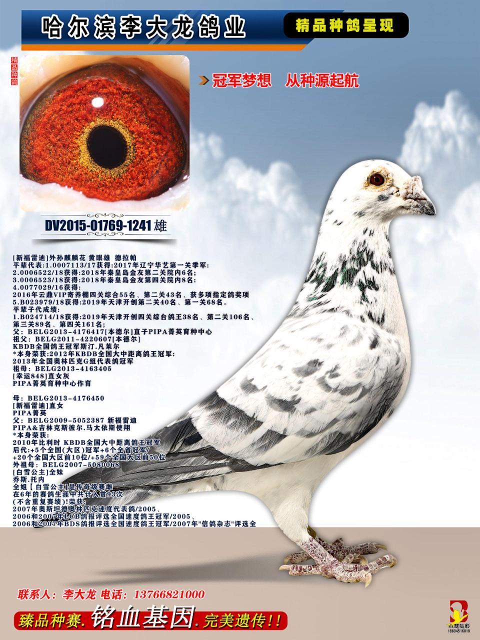 保时捷911全兄弟泰康直女