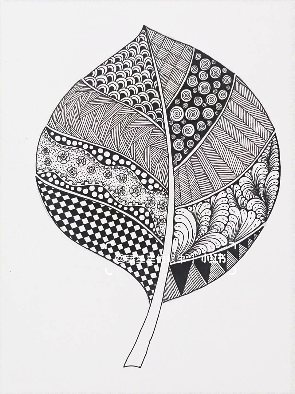 线描创作‖原创黑白线描画《叶子》图文版 一片叶,两片叶,片片叶,将你