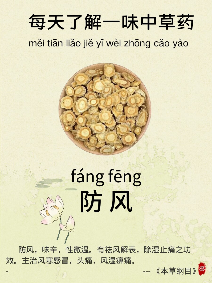 每天了解一味中草yao-防风 91药材介绍: 防风,学名为saposhnikovia