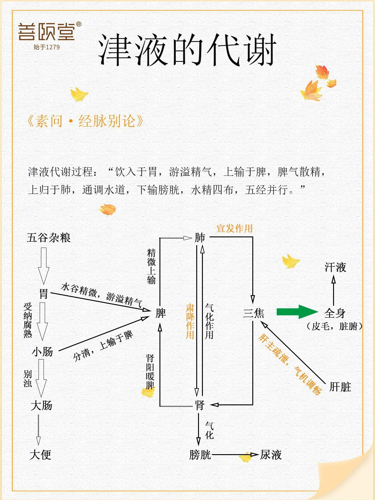 津液的生理功能津液津液是人体一切正常水液的总称