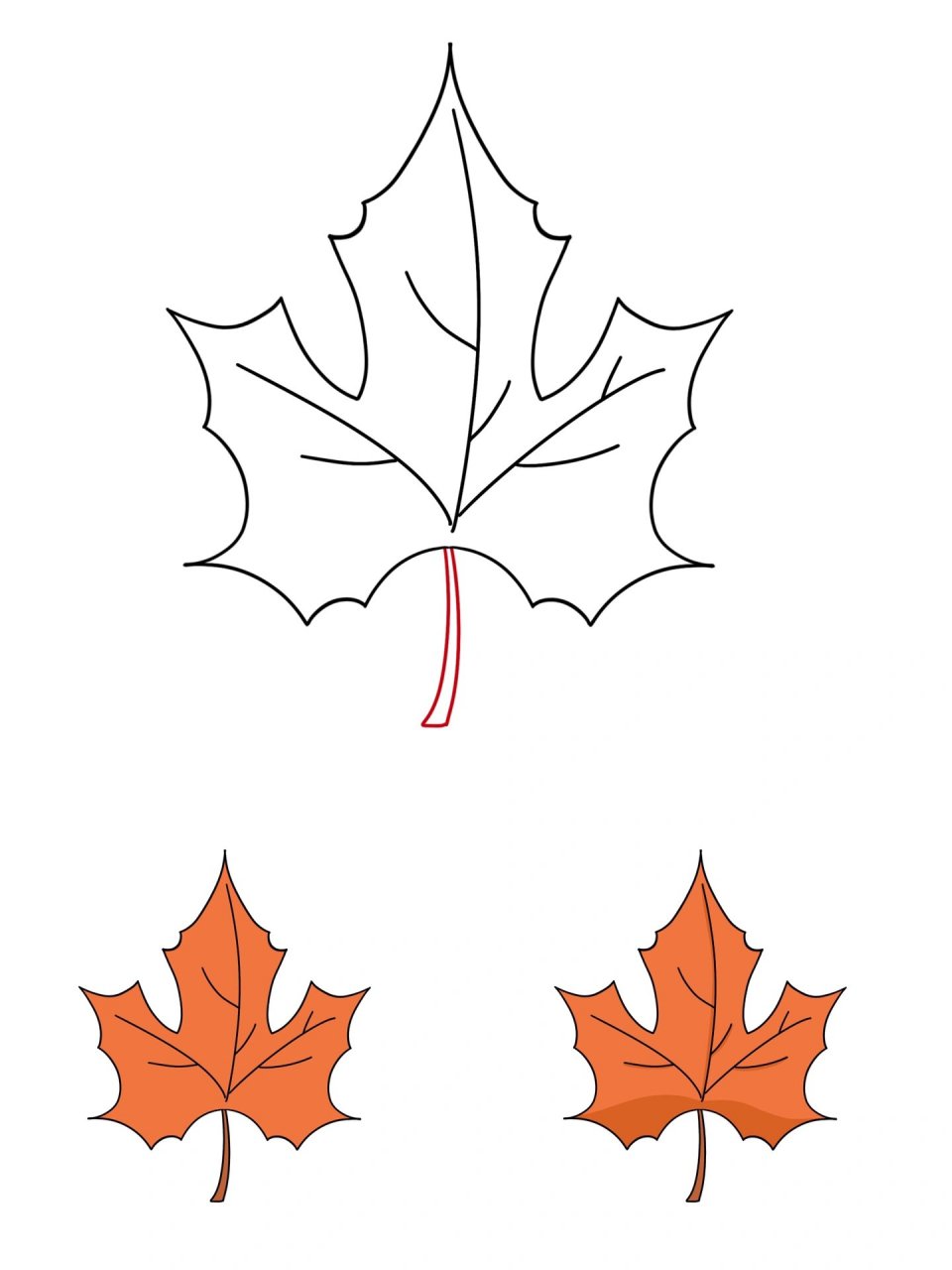 枫叶简笔画 简笔画教程