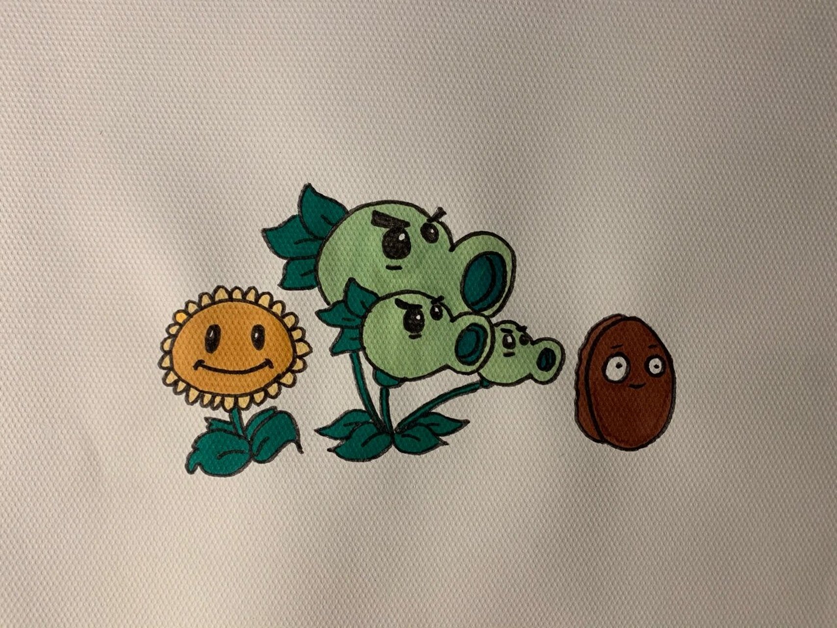 画画 植物大战僵尸马克笔简笔画