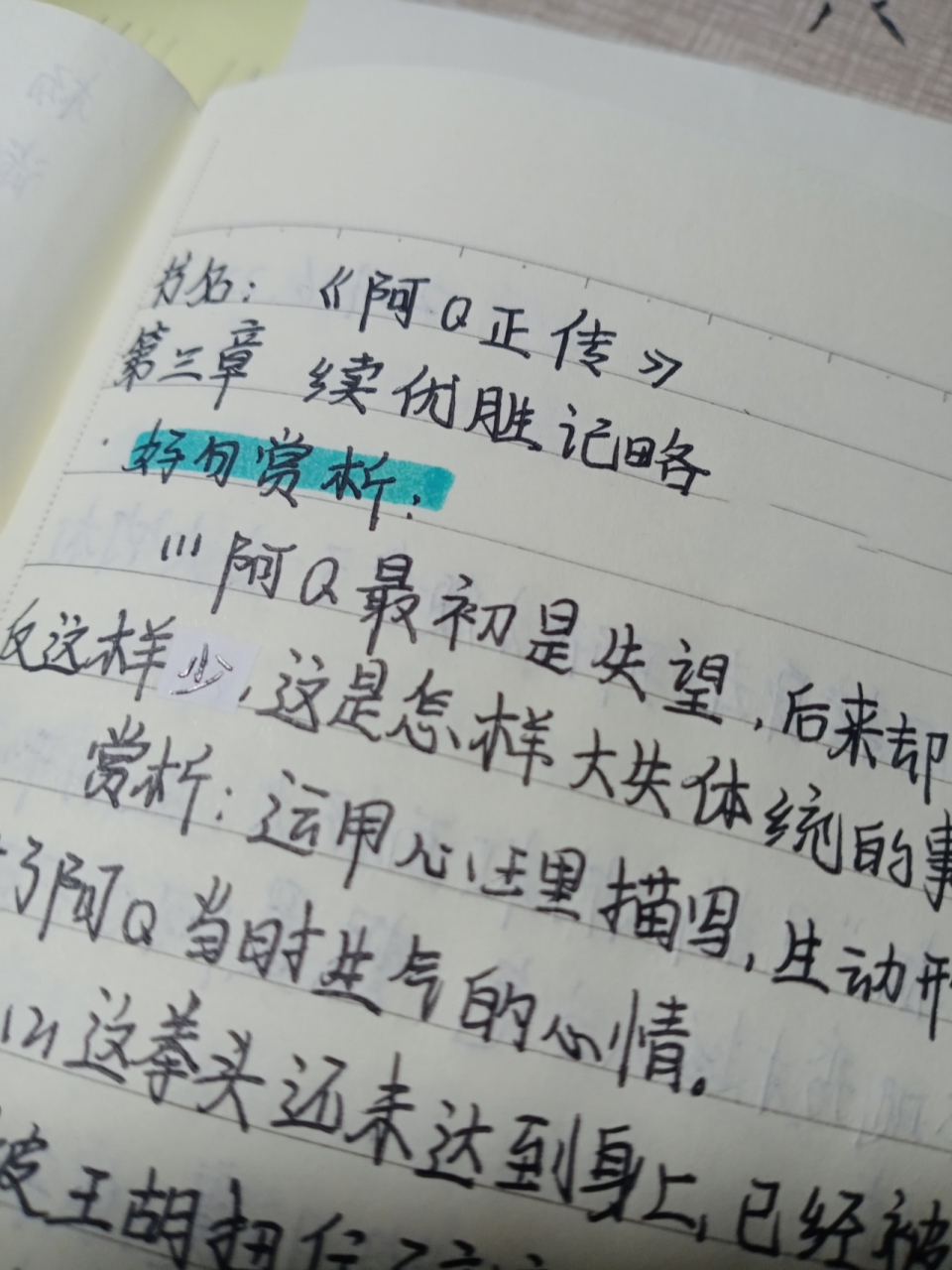 《阿q正传》读书笔记 这是上个学期写的 ,算是库存了