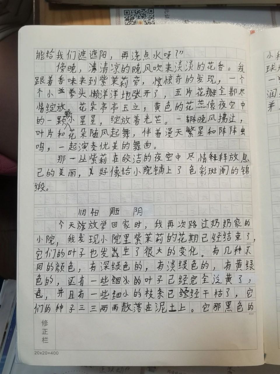 写植物的观察日记400字四年级(写植物的观察日记400字四年级上册)