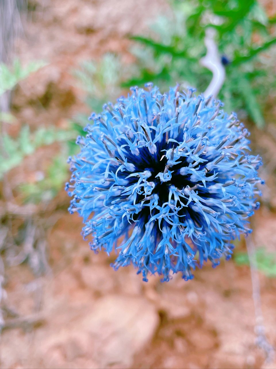 宁夏旅行 | 六盘山国家森林公园之外的美好  一场雨打乱了前往小南川