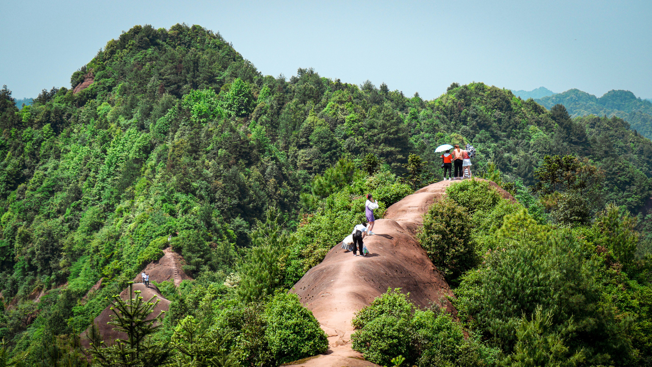 綦江牯牛背966015  96綦江区郭扶镇永胜村,深山里有一段山脊