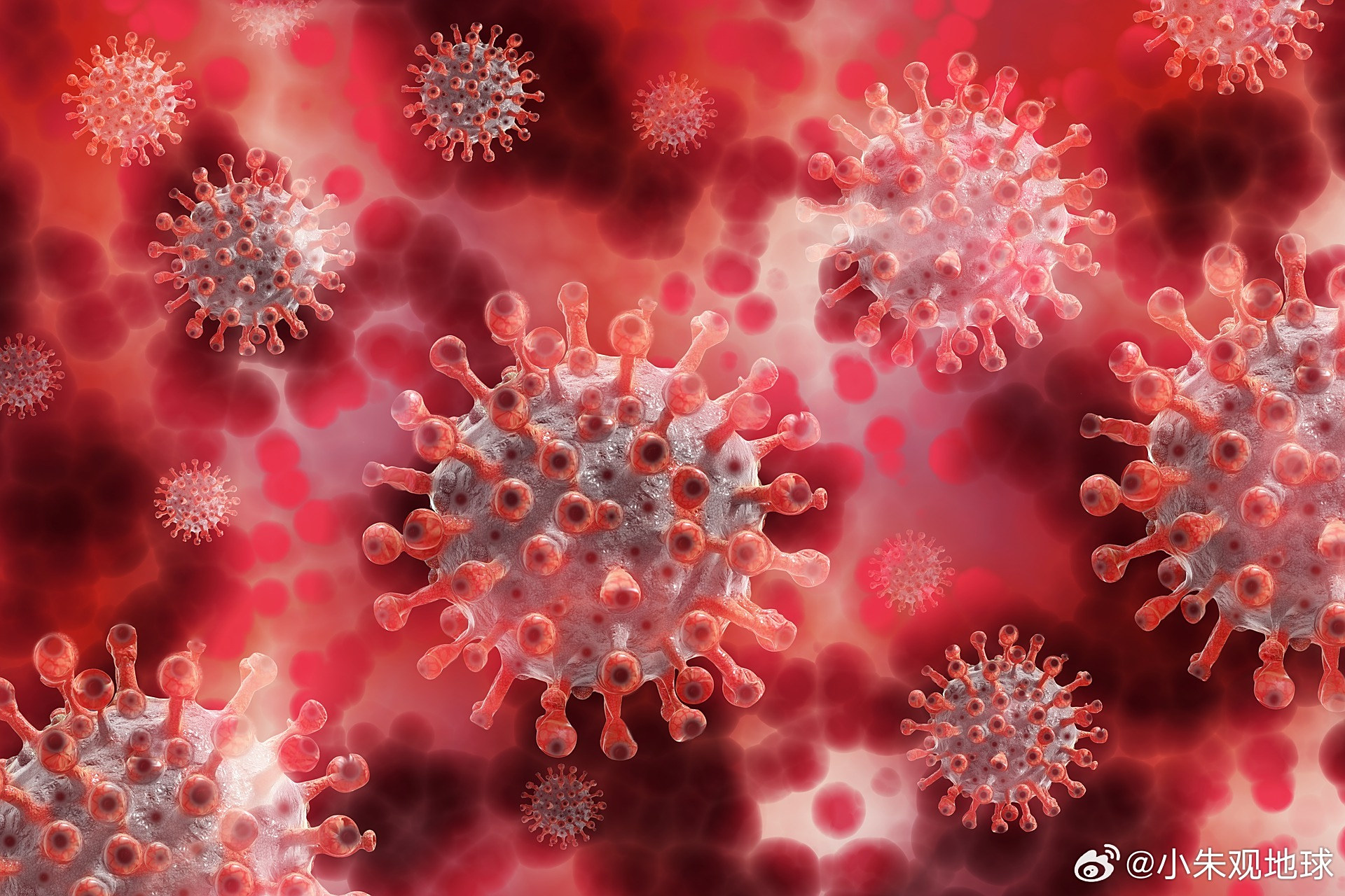 2.86最接近的是奥密克戎(omicron)冠病病毒的亚型变异株ba