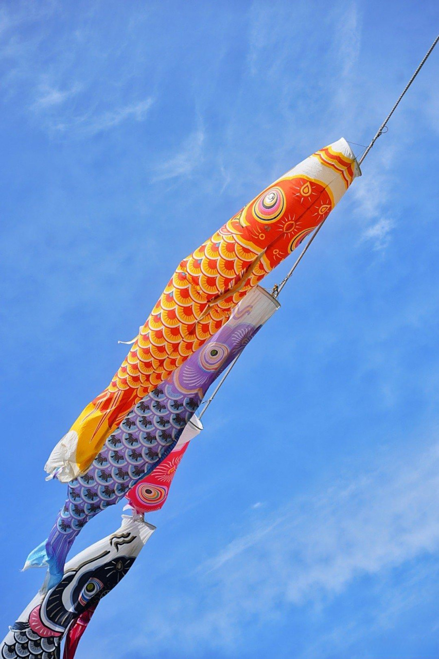 日本神奈川平塚市,能看见富士山的铃川鲤鯉のぼりまつり.