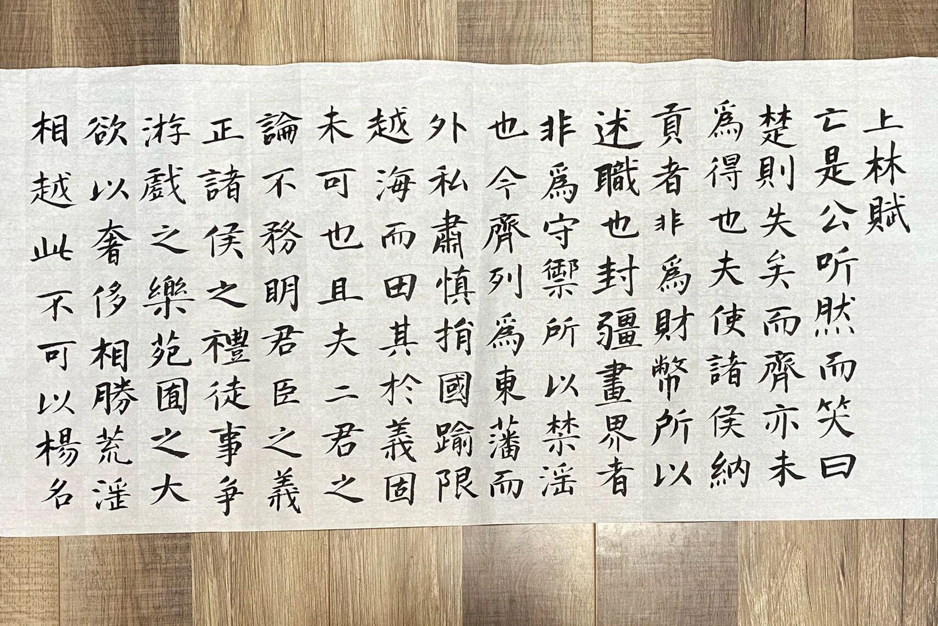 《上林赋》软笔小楷 起于一句"色授魂与,心愉于侧" 但却看到水流激荡