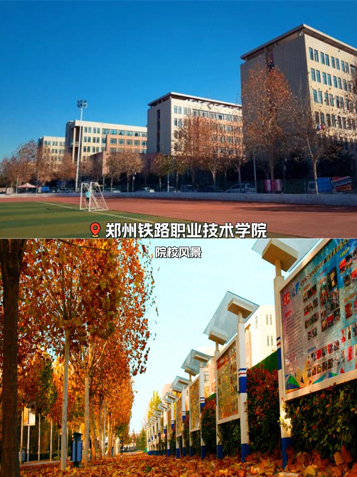 郑轨学院图片