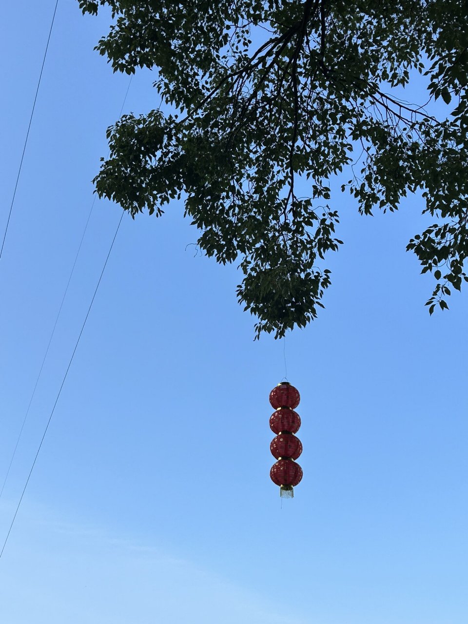 惠州周边游/博罗葫芦岭 4000多年贝丘遗址 99在这个小城市不起眼的