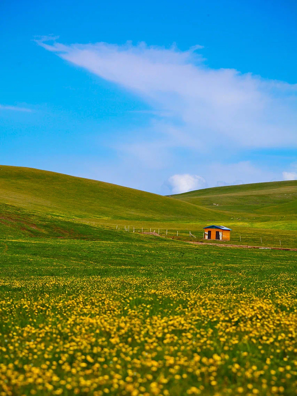 打假75来呼伦贝尔草原要备好高原反应的药92 总会有客人问我
