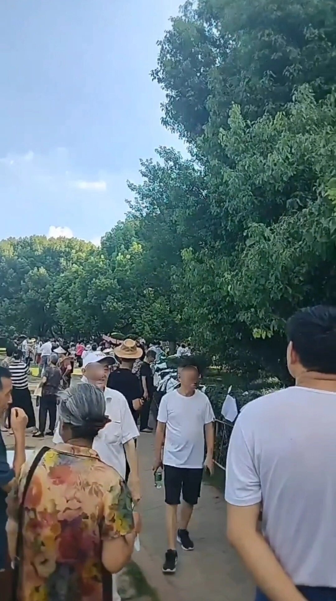 合肥杏花公园相亲角历险记 去了一趟合肥杏花公园相亲角,也是鼓足勇气
