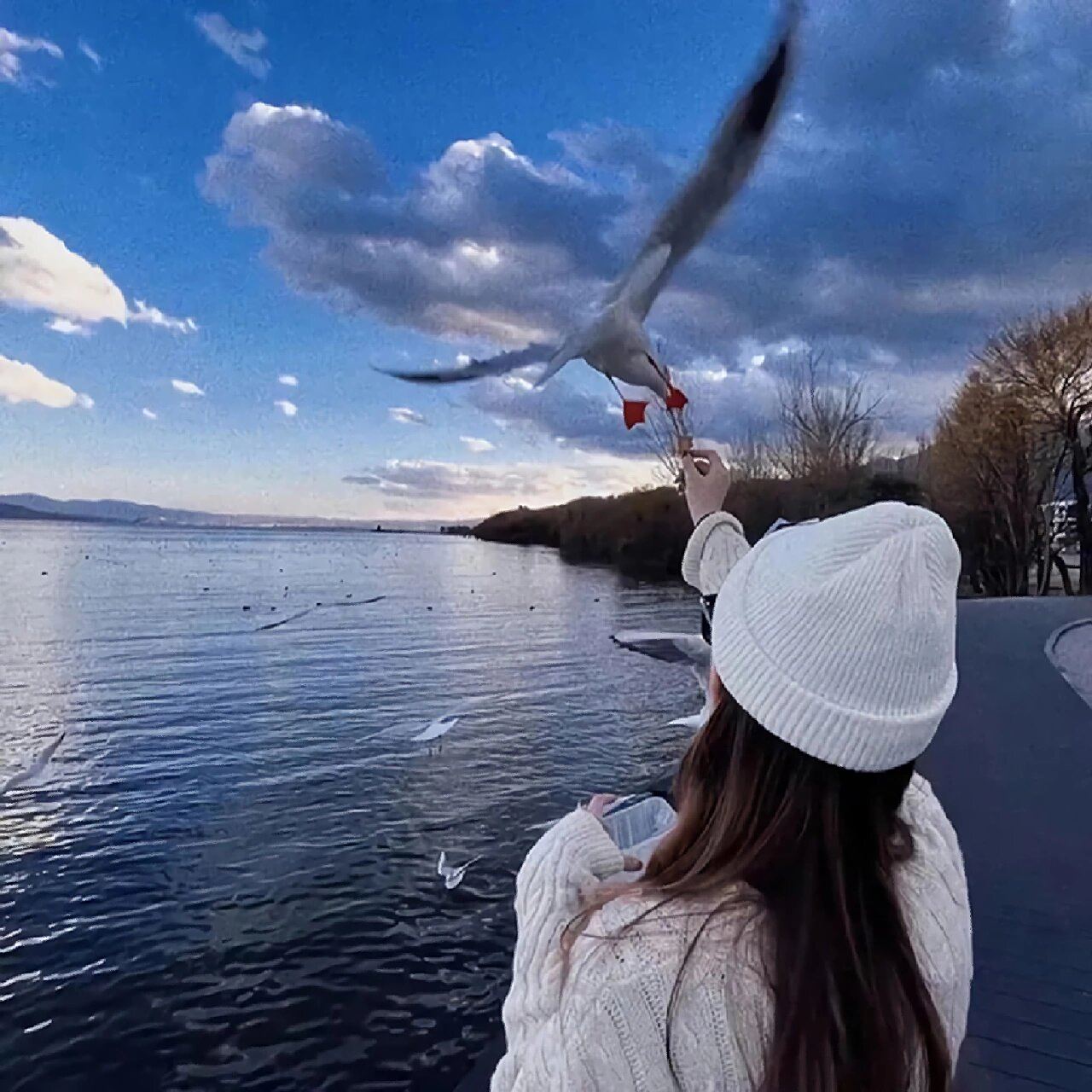 一组背影女头高级小众ins #小众头像# #ins风