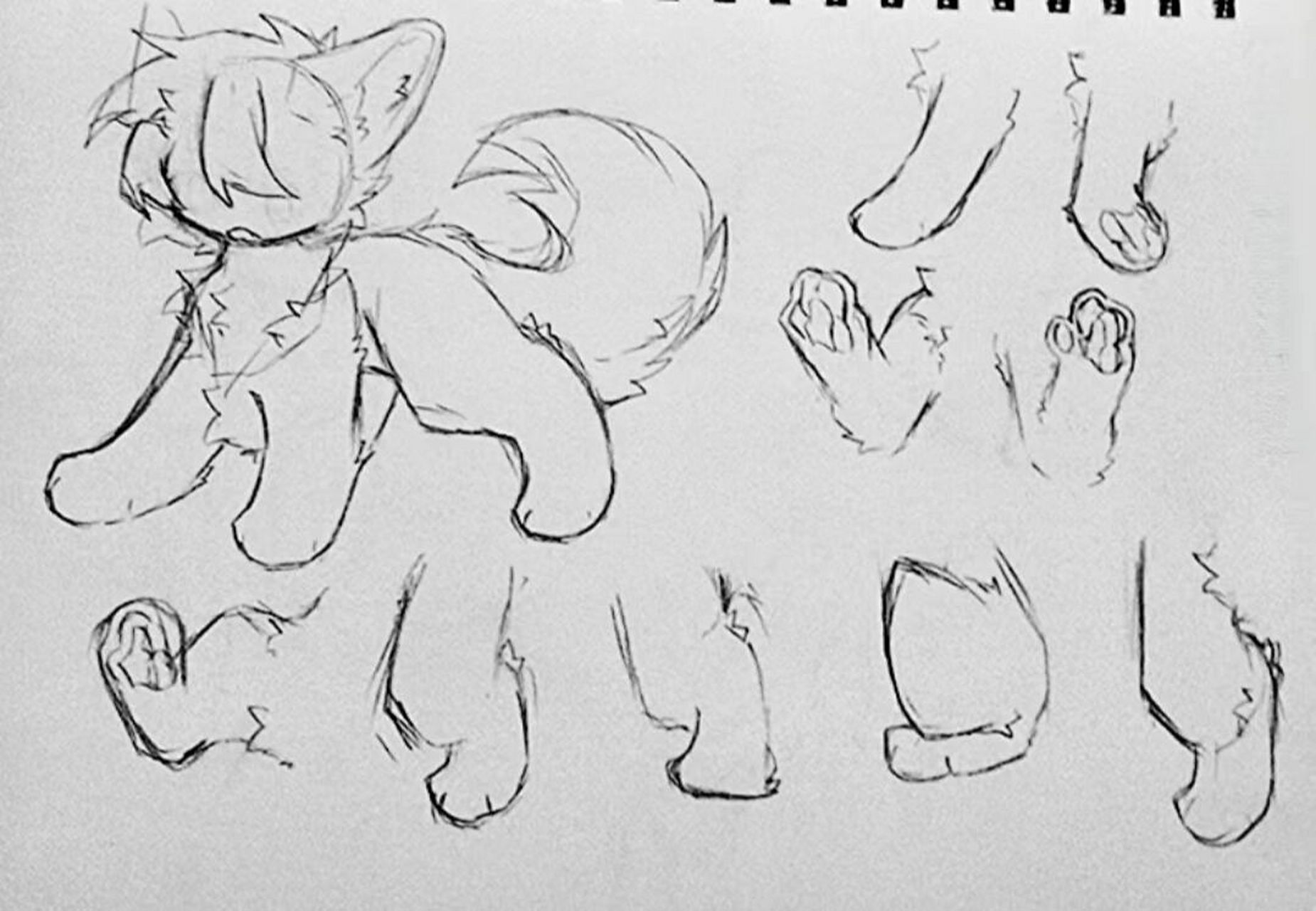 兽设素材第一弹 摸鱼——画爽了,流量好画第二弹(?