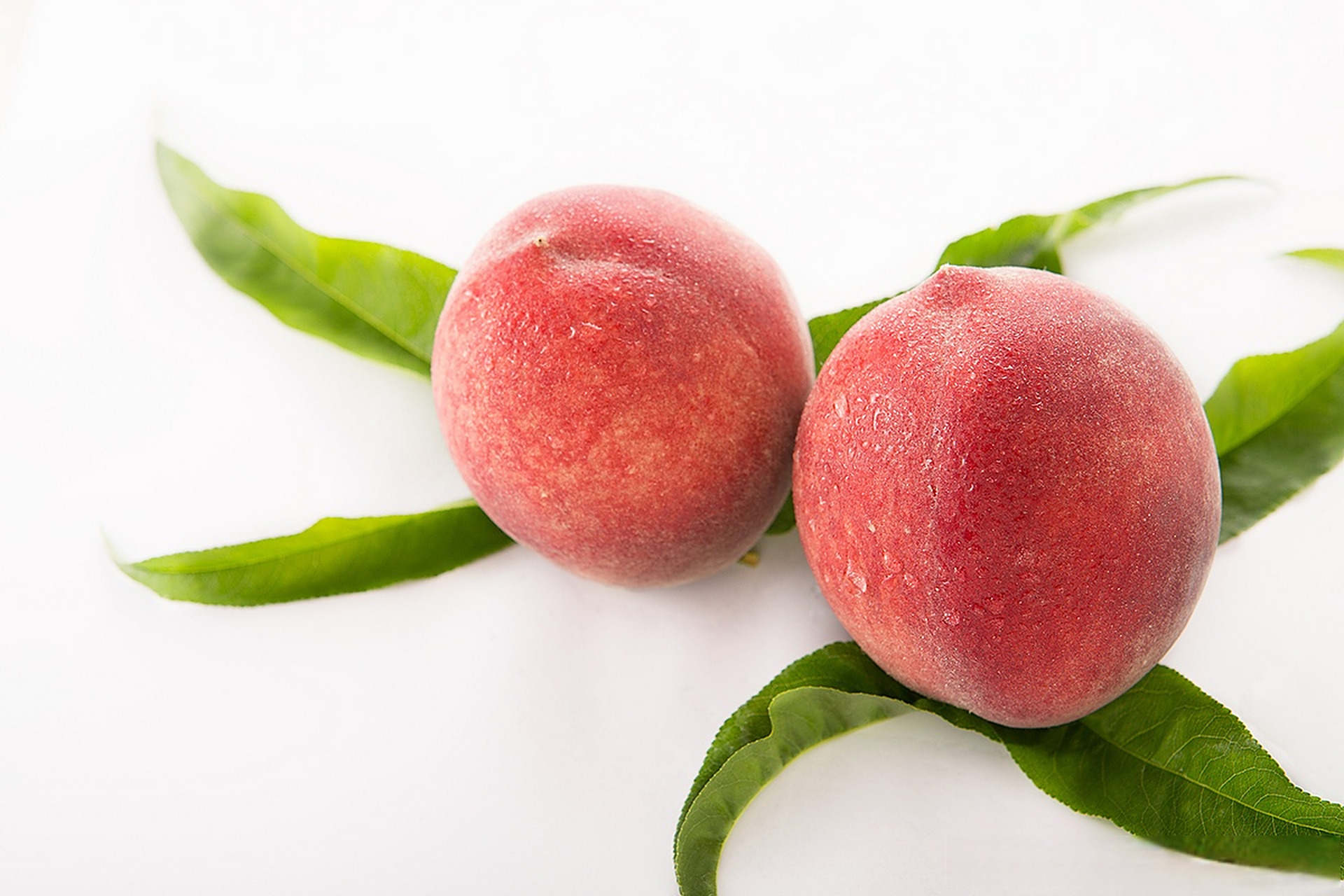 "桃"不掉的甜蜜!新疆库车百亩桃子喜丰收 #新疆旅游热度不减