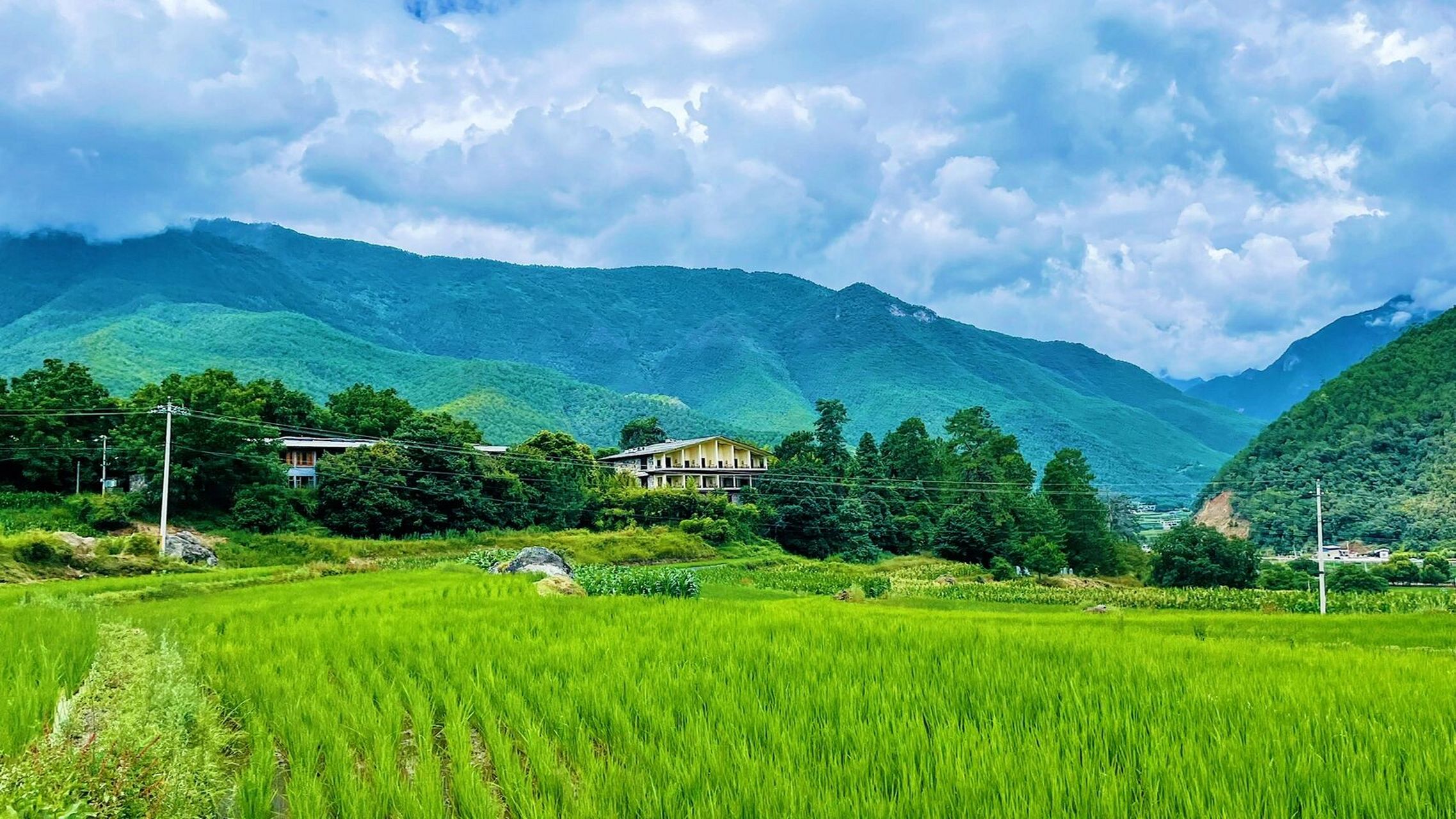 塔城虽没有雪山加持,可这高原上的田园风光却是无限美好,触手可及