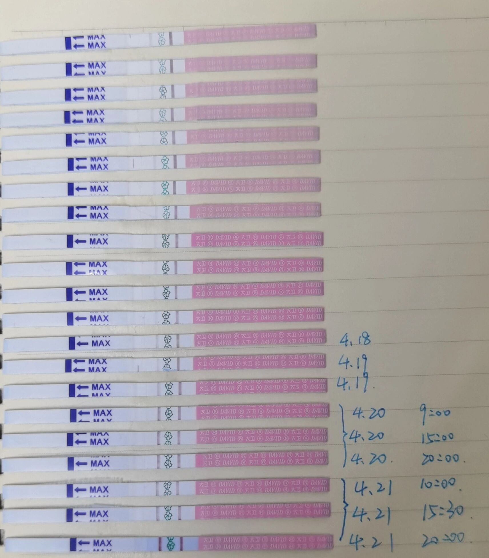 排卵试纸连续强阳两天