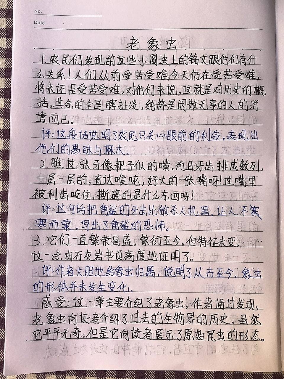 昆虫记读书笔记 第二十七章 老象虫