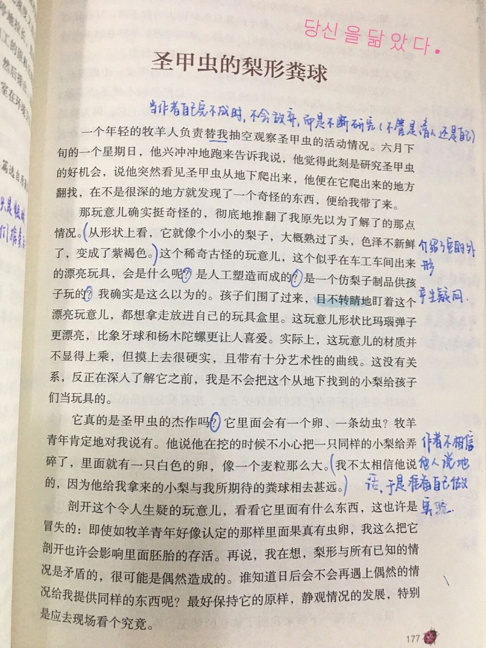 圣甲虫的梨形粪球 昆虫记章节阅读批注 感受 圣甲虫的梨形粪球 纯原创