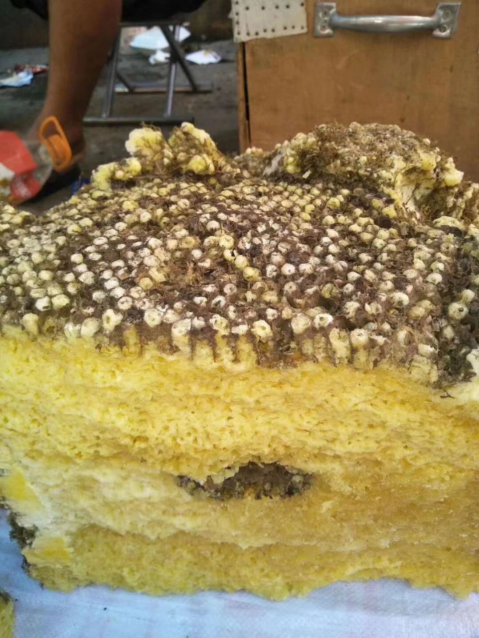 绝大部份人都认为是假的,只有极少数云南的朋友说这是真的,有些人小